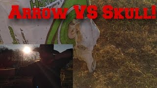 Recurve Bow vs skull :Traditional Archery.