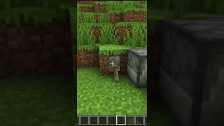 Reality VS Realistic Minecraft!  #shorts #minecraft #viral #youtubeshorts