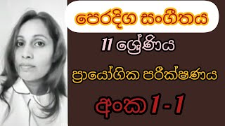 O/L practical /ප්‍රායෝගික පරීක්ෂණය 1-1 #ප්‍රායෝගිකපරීක්ෂණය