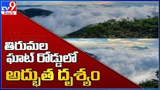 తిరుమల ఘాట్ రోడ్డులో  అద్భుత దృశ్యం - TV9