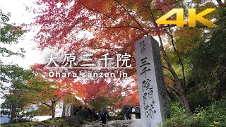 GoPro HERO8 【4K HDR 60fps 】Video Walking Around Ohara Sanzenin 【Kyoto Japan】