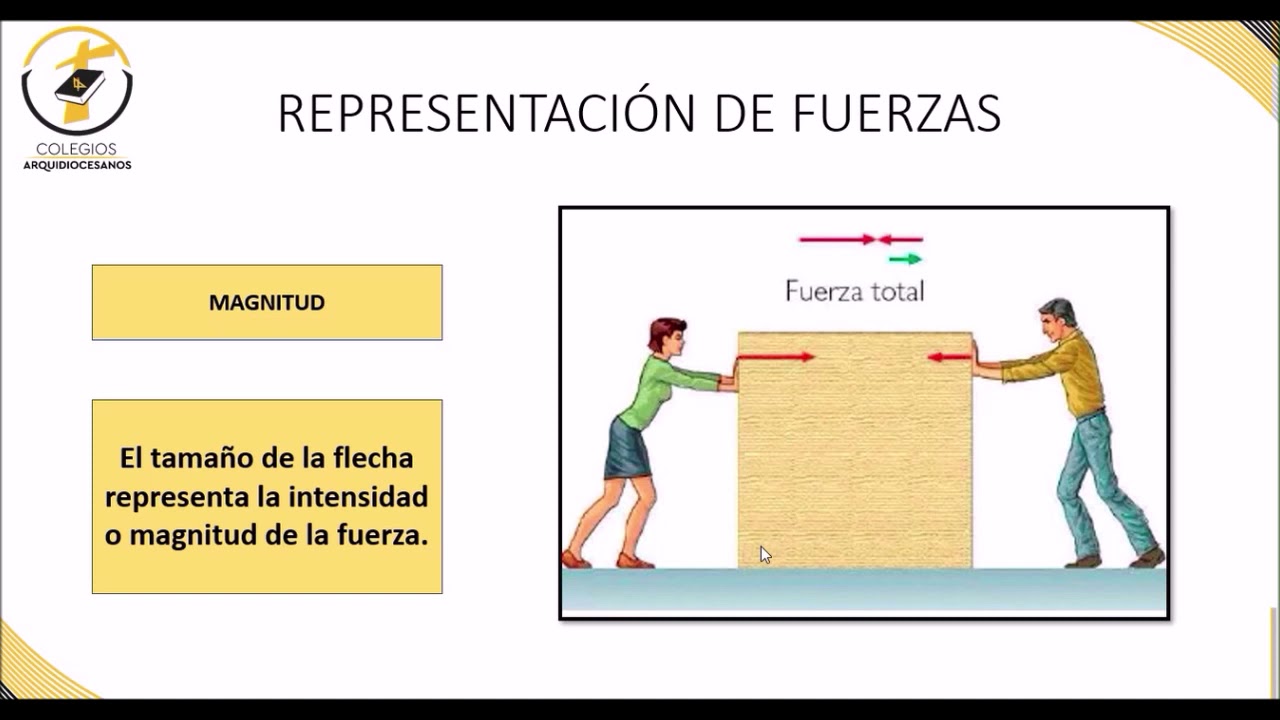 Representación De Las Fuerzas - YouTube