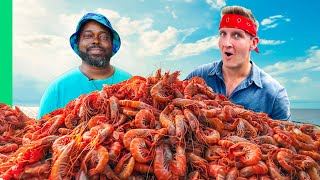 Catching 10,000 Shrimp for Shrimp & Grits!!