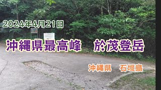 沖縄県最高峰の於茂登岳