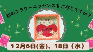 🎄✨12月の和のフラワーエッセンス🌷イベントのお知らせ🎄✨