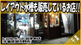 ヒロセペット谷津本店 レイアウト水槽やオリジナル商品も販売しているお店!!