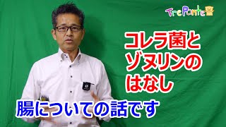 夏見台幼稚園・保育園ビデオニュース　2023年11月号その1「解説：腸にいいものをとるよりも、腸に悪いものをとらないこと」