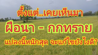 ตั้งแต่เคยเห็นมา  ผือนา-กกทราย-หญ้าฮังกา แปลงนี้หนักที่สุด แก้ไขยังไงดี? โทร. 0925164252  0899428684