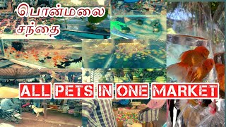 Ponmalai sandhai Trichy/Sunday market Trichy/ After lock down 2.0/All types of pets in one place/