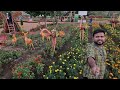 नाशिक फ्लॉवर पार्क संपूर्ण माहितीसह nashik flower park