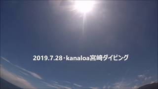 2019 7 28・kanaloa 宮崎ダイビング