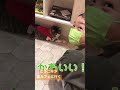 猫大好き人間猫耳付けて初猫カフェ大興奮 shorts 5歳 年中さん こうちゃん 初猫カフェ