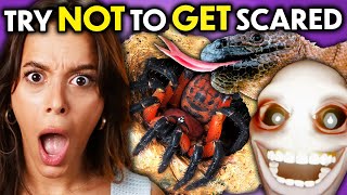 Try Not To Get Scared - Head To Head Challenge! (Spiders, Jump Scares, Weird Ani