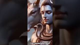 🕉️அருள்மிகு🕉️ ஸ்ரீ மெக்கடேஸ்வரர் ஆதிபராசக்தி திருக்கோயில்