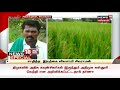 9 வகையான பாரம்பரிய நெல் பயிரிட்ட விவசாயி news18 special