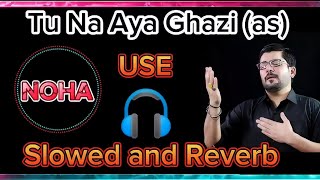 Tu Na Aya Ghazi (as) | आप नहीं आए गाज़ी | Mir Hasan Mir Nohay | Slowed and Reverb noha | lofi noha