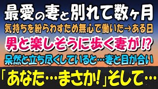 【感動する話】最愛の妻と別れて数ヶ月。悲しみを紛らわすため無我夢中で働いた→ある日、男と楽しそうに歩く妻を見かけ立ち竦んでいると…妻と目が合い「あなた…まさか!」衝撃の真実に…【泣ける話】朗読