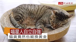 喵星人自立自強  貓糞竟然也能換黃金