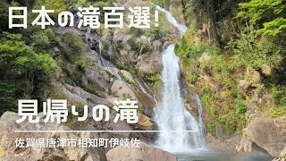 見帰りの滝！日本の滝百選【佐賀県】