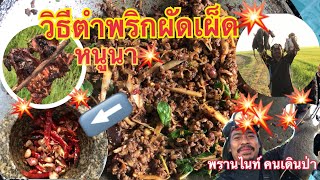 ผัดเผ็ดหนูนา วิธีตำพริกผัด้ผ็ดหนูนา /พรานไนท์ คนเดินป่า