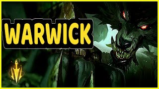 WARWICK HIGHLIGHTS