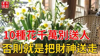 10種鮮花，千萬別送人！小心把財神送走，讓你三代難富！#玄機司命