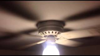 Playtube Pk Ultimate Video Sharing Website