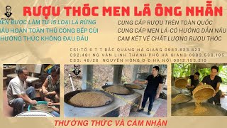 Quy trình làm men lá từ A đến Z-cách làm men lá như thế nào-cách nấu rượu thóc men lá