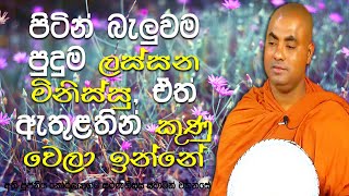 පින් කරන්න ආසයි ඒත් කොහෙද ඒවට වෙලාවක්! නමුත් ජීවිතය පවින් සම්පූර්ණයි|Koralayagama Saranathissa Thero