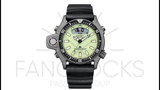 FanClocks Collection: CITIZEN PROMASTER AQUALAND I REF  JP2007 17W CON QUADRANTE FULL LUME