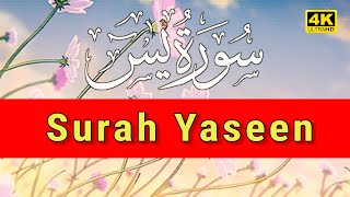 Surat ul Yasiin | Surah Yaseenn | Beautiful Quran Surah Yaseenn | Hafiz Arshad Ahmad Official