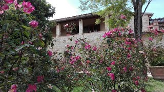 Agriturismo La Pieve, Colle Val D'Elsa, Italy