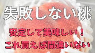 大玉できれいで味が安定して美味しい優秀な桃！【川中島・あかつき】