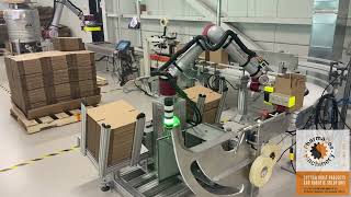 Revolutionize Packing with Jaka Robot Cobot Case Packer!