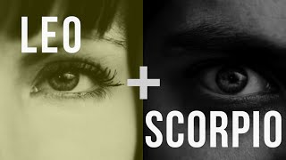 Leo Scorpio Love Compatibility