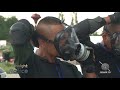 insight police swat challenge 2017