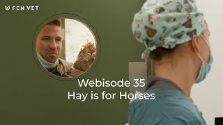 Fen Vet Webisode 35: Hay is for horses