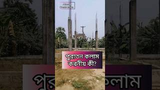 পুরাতন বা পরিত্যক্ত বাড়ির ক্ষেত্রে করনীয় | Ahmad Construction #পুরনোবাড়ি #বাড়িরডিজাইন #oldbuilding