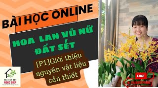 Học online lan vũ nữ,(P1) Gth Nvl làm hoa cần thiết phải có