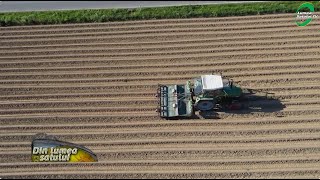 Ce putem învăța din experiența agricolă a danezilor