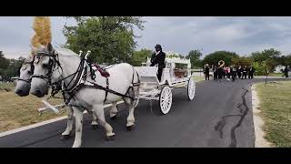 White Horses & Jazz Band | Horse-Drawn Funeral at Evergreen Cemetery, Austin TX