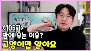 [105화] 츄르는 건강식이 아닙니다. 두마리 고양이 놀아주는 방법, 고양이 트라우마 치료법, 윤샘 인도 여행설, 고양이 배변실수