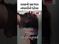 આ રીતે વાળ ધોવાથી બિમારીઓથી મળશે રાહત hair wash tips hair growth tips hair care tips shorts