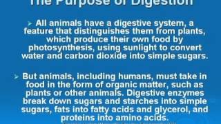 The Raw Vegan Diet: Pros & Cons - A presentation by William Harris, M.D..
