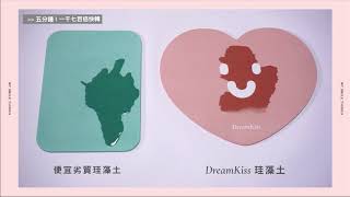 │DreamKiss│【五分鐘速乾實測】—珪藻土腳踏墊