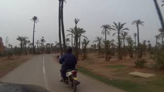 Marrakech ma belle ville,  Route de la PALMERAIE - GOPRO