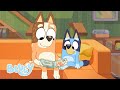 Bluey Slaperige Dromen 💤 | Bluey - Officieel Nederlands kanaal