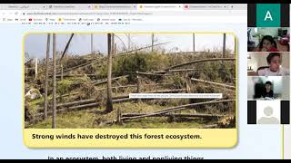 Grade 3 A-boys how do environmental changes affects living things? part 1