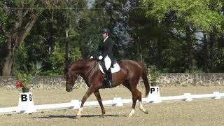 Nikole Forster - Soagards Safira FEI WORLD DRESSAGE CHALLENGE 2024