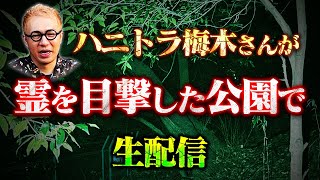 【心スポ生配信】ハニトラ梅木さんが霊を目撃したA公園へリベンジ！